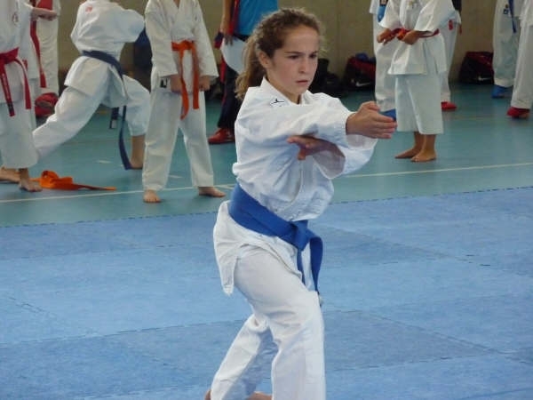 Resultados del Campeonato Navarro Alev&iacute;n, Infantil y Juvenil en la modalidad de Kata